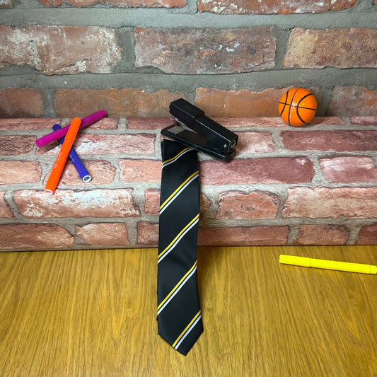 De la Salle Tie (1st - 3rd year)